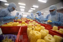 Comercio Vietnam - Laos reporta redución del 27,3 por ciento