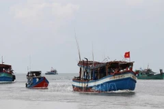 Inspeccionan avance de combate contra IUU en localidad vietnamita