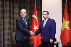 Primer ministro vietnamita dialoga con ministros turcos