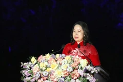 Inauguran Festival cultural Ninh Binh -Trang An en provincia honónima