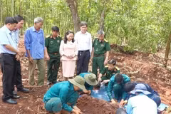 Detectan 20 restos de mártires vietnamitas en provincia vietnamita 