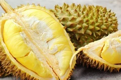Vietnam espera alcanzar 55 mil millones de dólares por exportación agroforestal y acuática