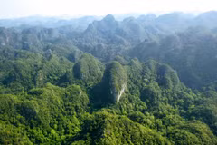 Tailandia aplica modelos de Suecia para ampliar la superficie forestal