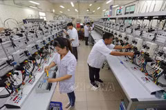 Ciudad Ho Chi Minh promueve desarrollo de ciencia, tecnología e innovación 