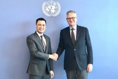 ONU valora participación activa de Vietnam en misiones de paz