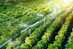 Ciencia y tecnología contribuyen a los avances agrícolas de Vietnam