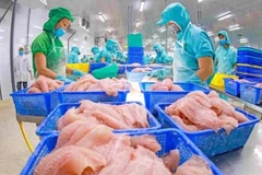 Exportaciones acuícolas por alcanzar 9,5 mil millones de dólares en 2024