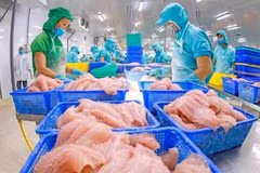 Exportaciones acuícolas por alcanzar 9,5 mil millones de dólares en 2024