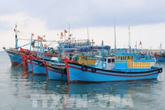 Vietnam aplica severas sanciones para combatir IUU
