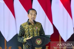 Indonesia refuerza control sobre precios del arroz