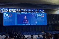 Vietnam presenta iniciativas en 43° período de sesiones de Conferencia de FAO 