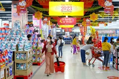 En alza ingresos por ventas minoristas y servicios de Vietnam en enero