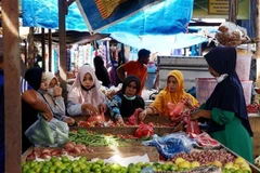Indonesia gastará casi 32 mil millones de dólares en protección social pospandemia