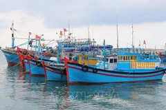 Vietnam trabaja por prevenir que barcos trabajen ilegalmente en aguas ajenas