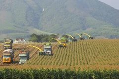 Destacan en Vietnam necesidad de inversión privada en crecimiento verde