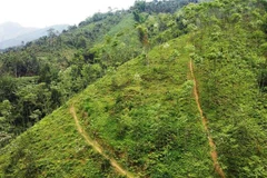 Vietnam y BM cooperan en la respuesta al cambio climático para el crecimiento verde