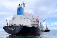 Armada Popular de Vietnam realiza rescate de carguero panameño