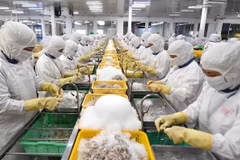 Se triplica número de empresas que reanudan sus operaciones en junio