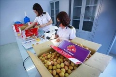 Vietnam por establecer centro de irradiación de frutas para exportación en el Norte