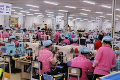 Kien Giang registra aumento de 10 por ciento del valor de producción industrial