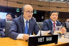 Asiste Vietnam a reunión de Junta de Gobernadores del OIEA