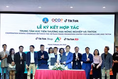 Impulsan transformación digital en comercio de OCOP de Vietnam