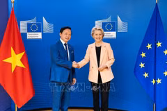 Vietnam dispuesto a cooperar con otros países por el desarrollo sostenible