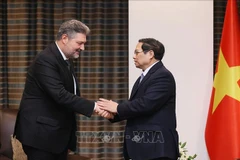 Premier vietnamita recibe a gerentes empresariales turcos