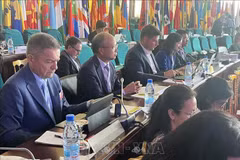 Vietnam participa en Conferencia Ministerial de la Francofonía en Camerún