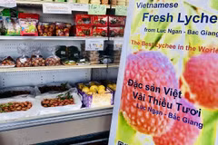 Venden en Estados Unidos lichis vietnamitas