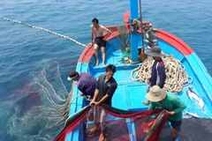 Piden soluciones urgentes para combatir pesca ilegal en Vietnam