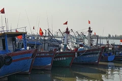 Vietnam por elevar conciencia sobre desarrollo sostenible de pesca