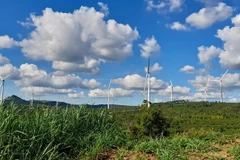 Movilizan recursos para promover transición energética en Vietnam