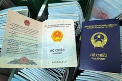 Vietnam sube cuatro lugares en el ranking mundial de pasaportes