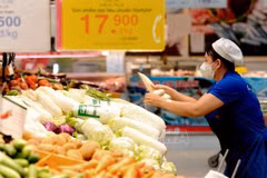 Índice de Precios al Consumidor de Vietnam resgistra aumento de 3,29 por ciento