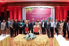 Empresas vietnamitas buscan impulsar lazos comerciales con Tailandia 