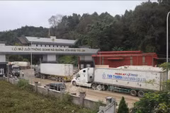 Localidades de Vietnam y China se coordinan en gestión de fronteras