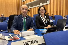 Vietnam participa en sesión de Asamblea General de ONU de desarrollo industrial