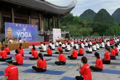 Nutrida participación en Día Internacional del Yoga en localidad vietnamita