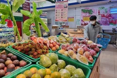 Ciudad Ho Chi Minh: aumenta el poder adquisitivo durante el feriado