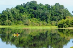 Efectúan en Hanoi foro por Día Internacional de los Bosques 