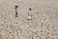 Experto tailandés alerta sobre impactos del El Niño