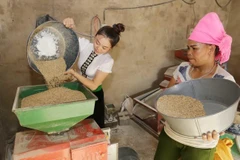 Más de 1,9 millones de hogares vietnamitas aún luchan contra la pobreza