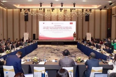 Provincia vietnamita busca agilizar atracción de inversión japonesa
