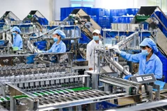 Publican informe sobre inversión extranjera directa en Vietnam