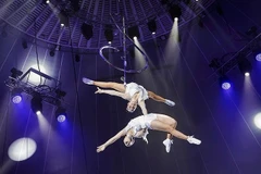 Trabajan por llevar circo vietnamita a la arena internacional
