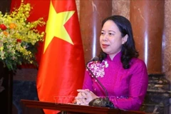 Relaciones Vietnam-UAE en camino de desarrollo fructífero 