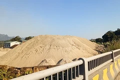 Proponen realizar estadísticas sobre reserva de minerales en Vietnam ​