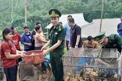 Provincia vietnamita de Thanh Hoa empeñada en mejorar vida de etnia minoriaria