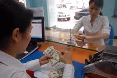 La decisión de la FED de recortar las tasas de interés reduce la presión cambiaria. (Foto: Vietnam+)